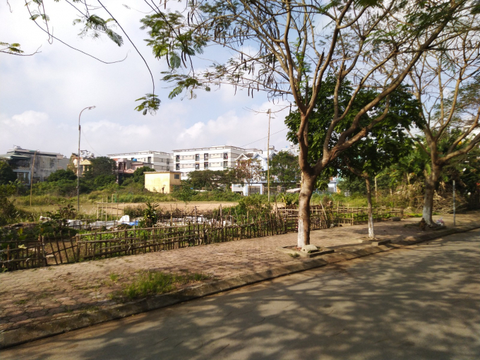 Đến nay, ng&ocirc;i trường Tiểu học Trần Hưng Đạo vẫn chỉ l&agrave; b&atilde;i đất hoang