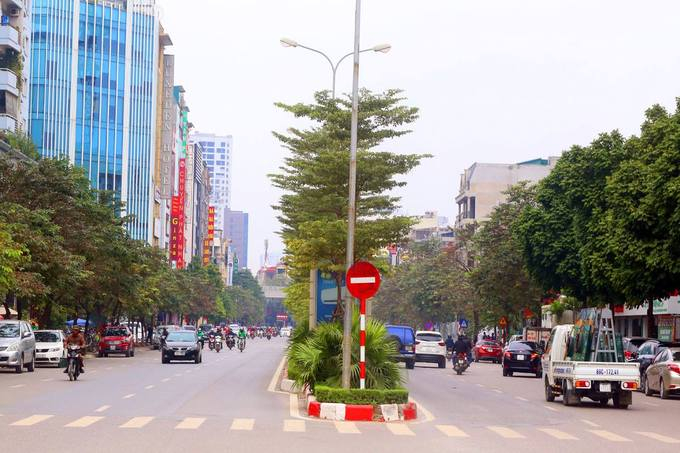 Cuối năm 2013, th&agrave;nh phố chi cả chục tỷ đồng để x&eacute;n thảm cỏ dải ph&acirc;n c&aacute;ch giữa, vỉa h&egrave; h&agrave;ng loạt tuyến phố như Trần Quốc Ho&agrave;n, Duy T&acirc;n v&agrave; Trần Th&aacute;i T&ocirc;ng (Cầu Giấy). Sau khi được mở rộng, đường Trần Th&aacute;i T&ocirc;ng từ 4 l&agrave;n xe th&agrave;nh 6 l&agrave;n xe.