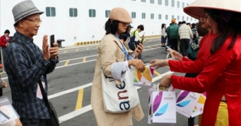 Đà Nẵng điều tra 8 doanh nghiệp "né" không khai thuế trăm tỉ đồng