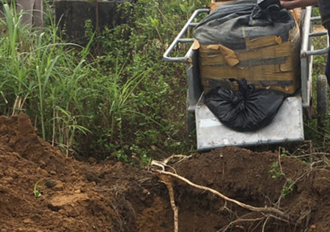 Ti&ecirc;u hủy hơn 100 kg ch&acirc;n g&agrave; tẩy trắng kh&ocirc;ng nguồn gốc