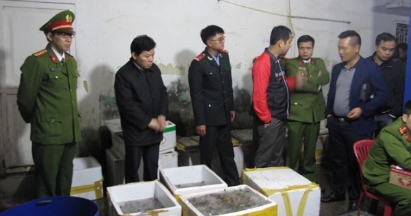 Tôm chết được bơm tạp chất tuồn lên 