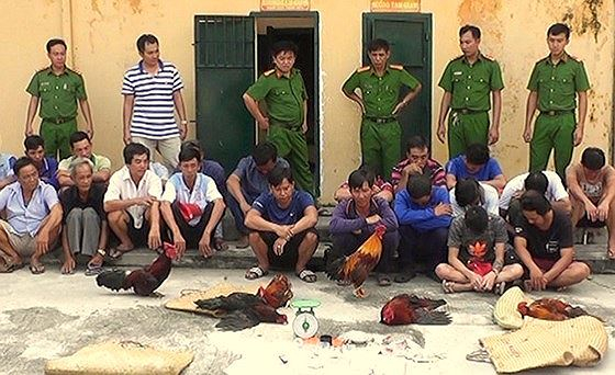 Một vụ đ&aacute;nh bạc m&agrave; Trường tham gia bị c&ocirc;ng an bắt quả tang. Ảnh SGGP