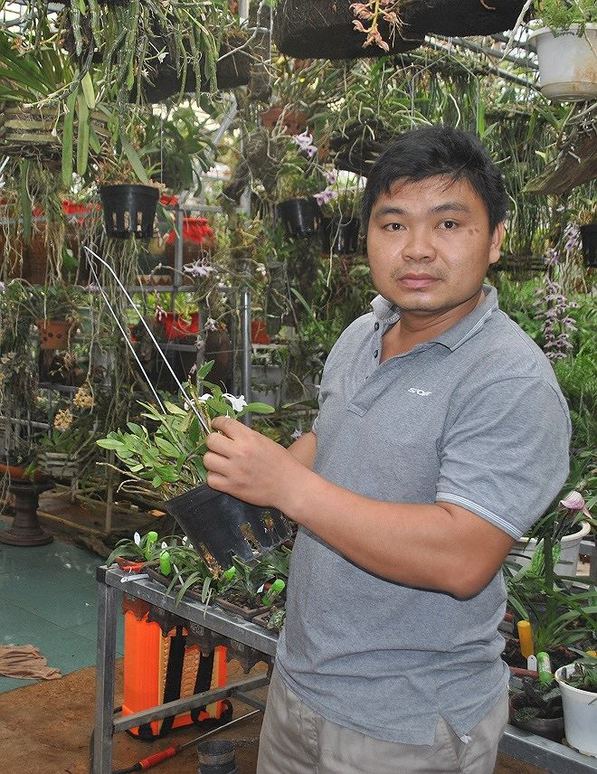 Theo anh C&ocirc;ng, với việc săn t&igrave;m như hiện nay, nguy cơ tuyệt chủng lan rừng l&agrave; kh&ocirc;ng xa