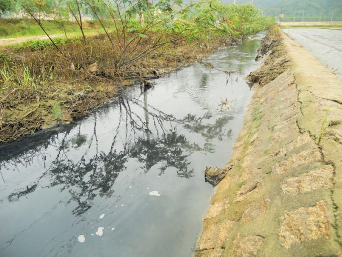 Mương tho&aacute;t nước chảy qua khu d&acirc;n cư tổ 1, KV 7 thường xuy&ecirc;n c&oacute; m&agrave;u đen ng&ograve;m, bốc m&ugrave;i h&ocirc;i thối nồng nặc.