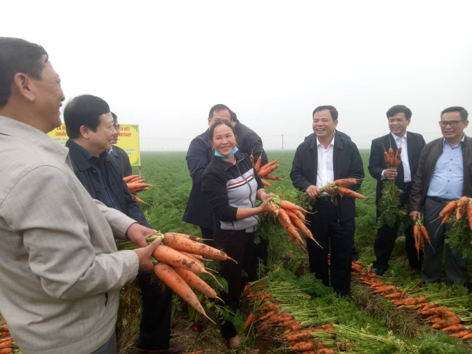 Bộ trưởng Bộ NN&amp;amp;amp;PTNT Nguyễn Xu&acirc;n Cường v&ocirc; c&ugrave;ng th&iacute;ch th&uacute; khi n&ocirc;ng d&acirc;n chia sẻ b&iacute; quyết để c&oacute; vụ c&agrave; rốt được m&ugrave;a, nhiều củ to, đẹp. Sau vụ c&agrave; rốt, b&agrave; con lại tiếp tục trồng dưa hấu, ng&ocirc; n&ecirc;n thu nhập của n&ocirc;ng d&acirc;n ở đ&acirc;y rất cao.&nbsp;