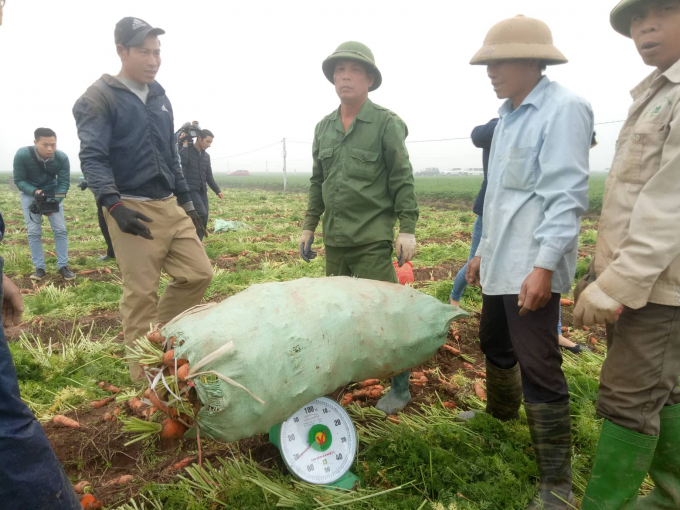 Bộ trưởng NN&amp;amp;PTNT th&iacute;ch th&uacute; thưởng thức c&agrave; rốt sạch ngay tại ruộng