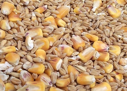 Đề xuất 19 sản phẩm thức ăn chăn nuôi theo tập quán