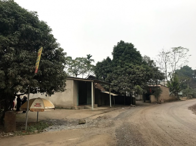 Khu vực 8 hộ d&acirc;n c&oacute; nh&agrave; ngay cạnh Quốc lộ 32C đoạn chạy qua tổ 6 phường Hợp Minh.