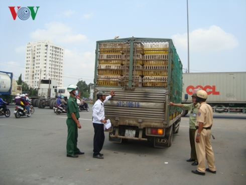 Cơ quan chức năng TPHCM kiểm tra chặt chẽ t&igrave;nh trạng vận chuyển gia cầm kh&ocirc;ng r&otilde; nguồn gốc.
