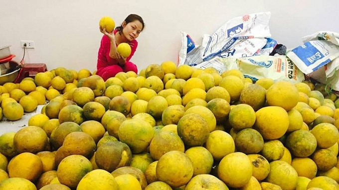 Tuy mẫu m&atilde; kh&ocirc;ng được đẹp nhưng bưởi Diễn vẫn l&agrave; sự lựa chọn của nhiều người trong dịp Tết.