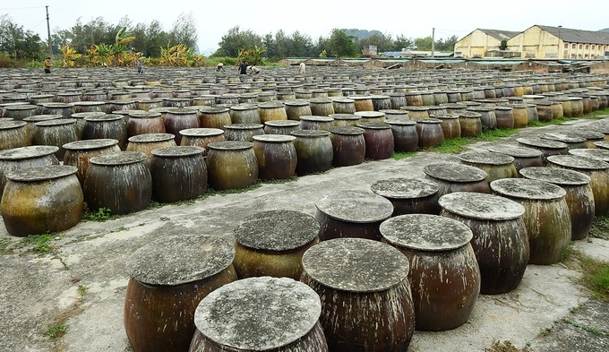 Nguy&ecirc;n liệu để l&agrave;m mắm l&agrave; c&aacute; nh&acirc;m, c&aacute; cơm&hellip; đ&aacute;nh bắt ở ngư trường B&aacute;i Tử Long, C&ocirc; T&ocirc; được trộn đều với muối theo tỷ lệ nhất định rồi cho v&agrave;o c&aacute;c chum.