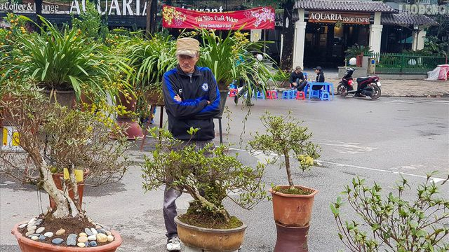 Anh Nguyễn Văn Minh (Ph&uacute; Đ&ocirc; &ndash; Nam Tư Li&ecirc;m &ndash; H&agrave; Nội) cho biết: &ldquo;H&ocirc;m nay hội chợ, t&ocirc;i đi qua thấy c&acirc;y cảnh n&ecirc;n rẽ v&agrave;o ngắm. Lo&agrave;i c&acirc;y n&agrave;y đẹp qu&aacute;, mấy trăm tuổi vẫn nở hoa. Người trồng ra được những c&acirc;y n&agrave;y th&igrave; thật sự gi&aacute; trị&rdquo;.