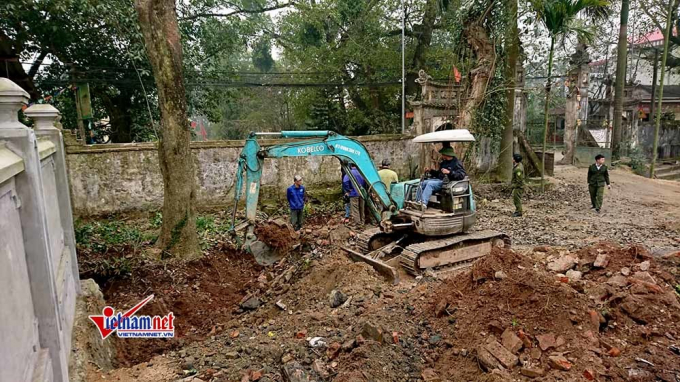 C&acirc;y sưa đỏ đang được khai th&aacute;c.