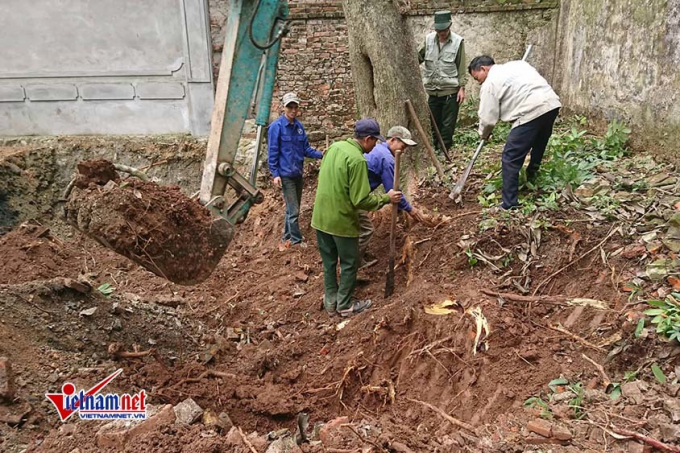 &nbsp;C&acirc;y sưa được đ&agrave;o cả gốc.&nbsp;&nbsp;