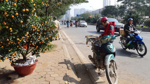 Thợ chở đ&agrave;o kiếm được &iacute;t nhất 1 triệu đồng/ng&agrave;y, b&igrave;nh qu&acirc;n từ 2 - 3 triệu đồng, người l&agrave;m nhiều hơn c&oacute; thể kiếm được 5 - 6 triệu đồng. Thợ chở xe ba g&aacute;c k&eacute;o c&oacute; thể thu được nhiều tiền hơn do đồ cồng kềnh hơn.&nbsp;