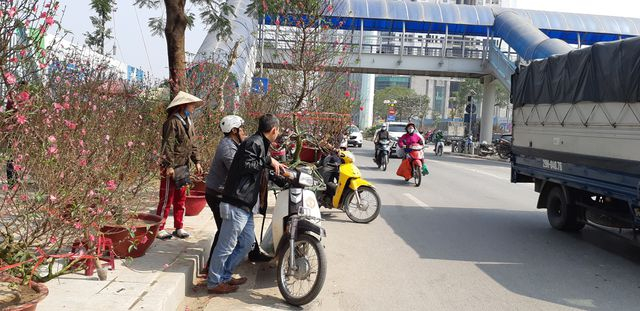 Hầu hết người mua c&acirc;y cảnh đều thu&ecirc; người chở về. Theo anh Mạnh, kiếm bộn tiền nhưng mỗi ng&agrave;y phải di chuyển kh&ocirc;ng dưới 200km, phải c&oacute; sức khỏe tốt mới c&oacute; thể l&agrave;m được.&nbsp;