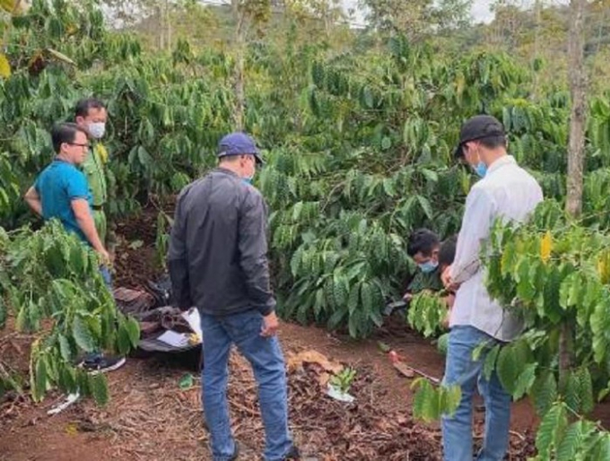 b5a52a3dcd7d24237d6c