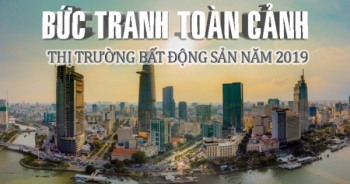 Bản tin Bất động sản Plus: Bức tranh toàn cảnh thị trường bất động sản năm 2019