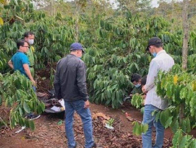 684aade84da8a4f6fdb9