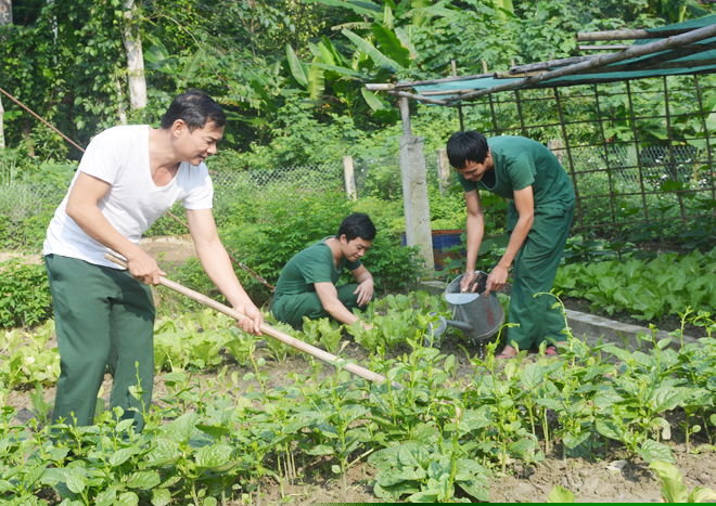 C&aacute;n bộ, chiến sĩ đồn Bi&ecirc;n ph&ograve;ng Hương Quang tăng gia sản xuất cải thiện cuộc sống.