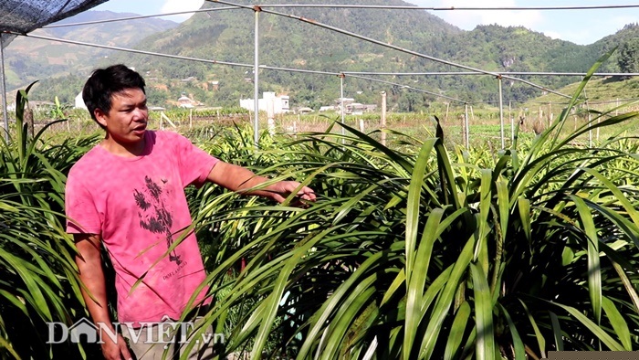 cao thu tiet lo bi kip cham lan “giac mong vua tran” no dung dip tet hinh anh 1