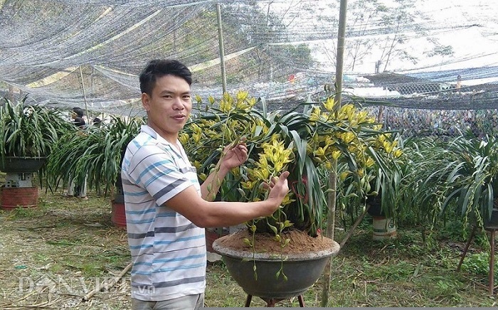 cao thu tiet lo bi kip cham lan “giac mong vua tran” no dung dip tet hinh anh 2