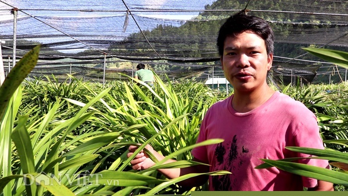 cao thu tiet lo bi kip cham lan “giac mong vua tran” no dung dip tet hinh anh 4