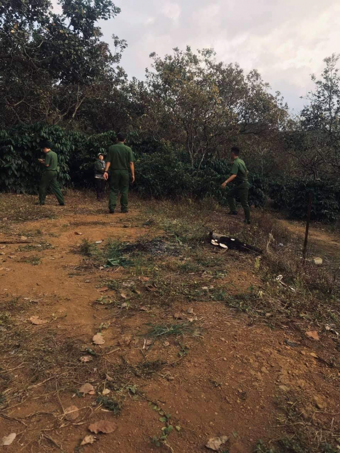 C529328E-FFF3-4E06-9C6F-F061F2D49EB4.