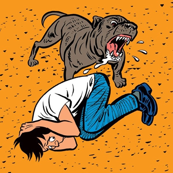 Pitbull điên cuồng cắn người: Nạn nhân thường bị thương rất nặng, thậm chí tử vong - 2