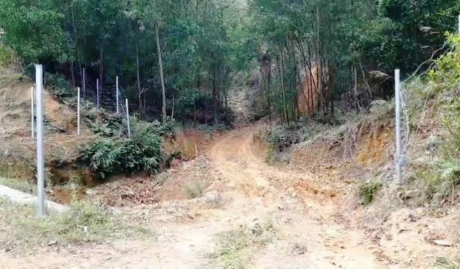 Hàng rào bảo vệ trên cao tốc 11.000 tỷ bị xé nát bươm - 2