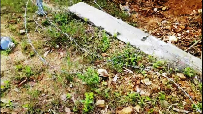 Hàng rào bảo vệ trên cao tốc 11.000 tỷ bị xé nát bươm - 3