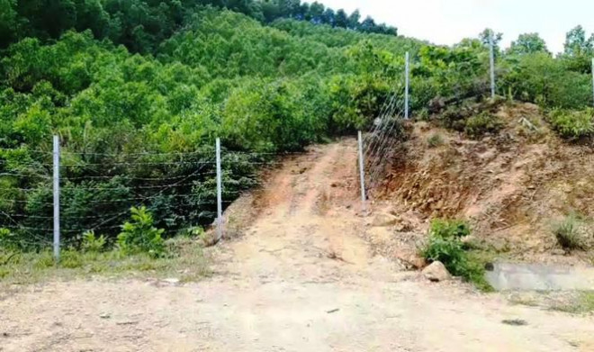 Hàng rào bảo vệ trên cao tốc 11.000 tỷ bị xé nát bươm - 6