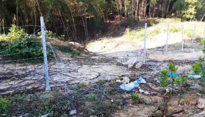 Hàng rào bảo vệ trên cao tốc 11.000 tỷ bị xé nát bươm - 7