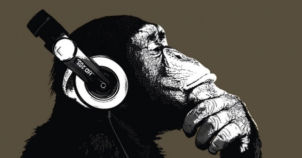 Bất ngờ trước khả năng cảm thụ âm nhạc của tinh tinh