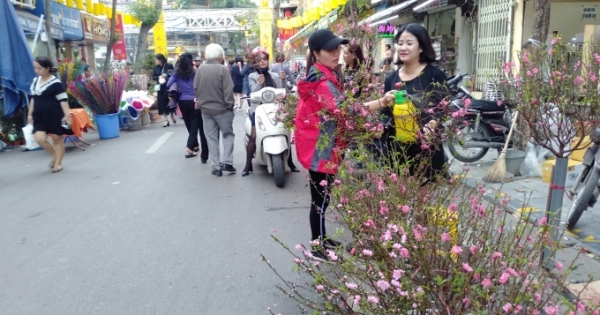 Nhộn nhịp chợ hoa Tết truyền thống phố cổ Hà Nội