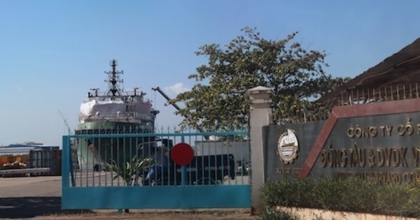 Bà Rịa - Vũng Tàu: Chuyển hồ sơ Công ty dầu khí Vũng Tàu sang cơ quan điều tra