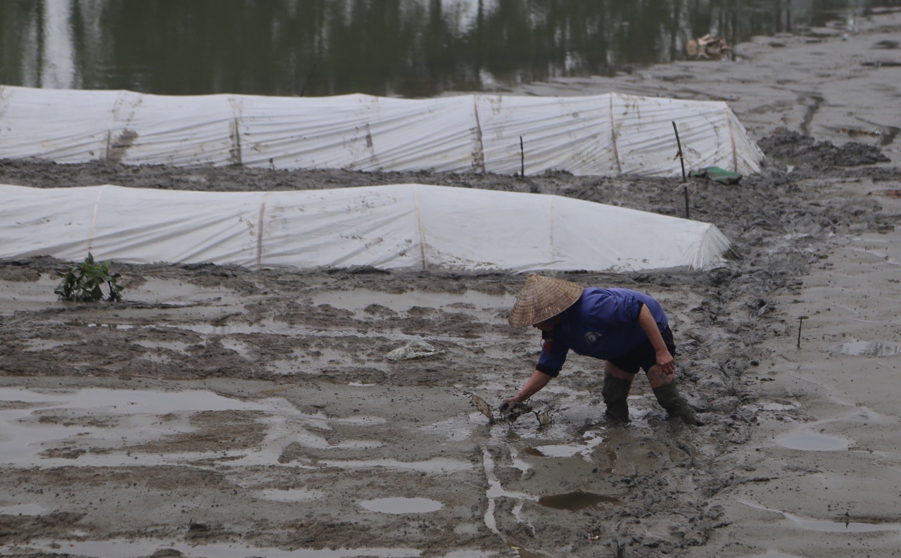 10 ngày sau vụ Đồng Tâm, cuộc sống thôn Hoành bây giờ ra sao? - 10