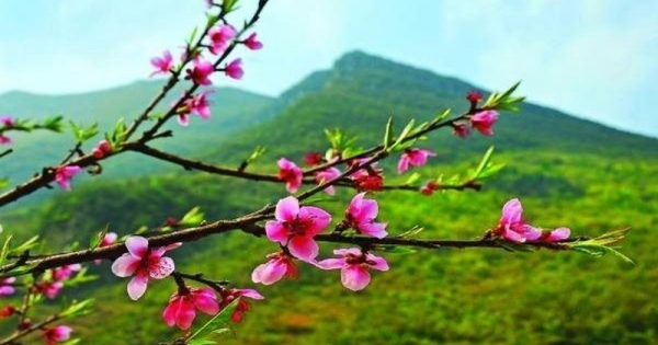 Rạo rực những bản tình ca xuân