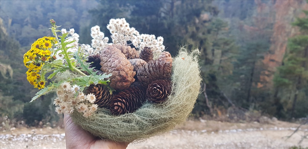 Sơn nữ Hà Nhì đi cắt cỏ tranh hay các bông lau tinh khiết về đan thành tổ tròn treo trước hiên nhà để dụ chim én “cõng mùa xuân về“. Hoặc họ làm những lẵng hoa dại hồn nhiên đến nao lòng như thế này để cầu may. Ảnh: Lãng Quân.