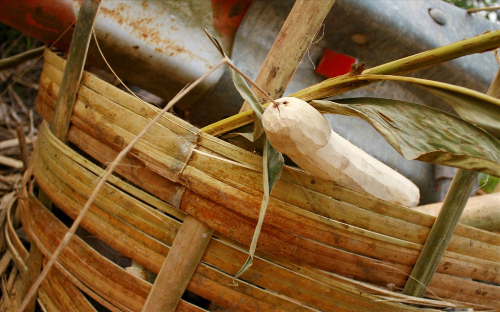 Phom cổng “Lễ cấm bản” ngày Tết ở Mường Tè, Mường Nhé, với nhiều cảnh phồn thực cầu nhân khang vật thịnh; cùng vũ khí đạn dược (đẽo bằng gỗ) để dọa ma tà.