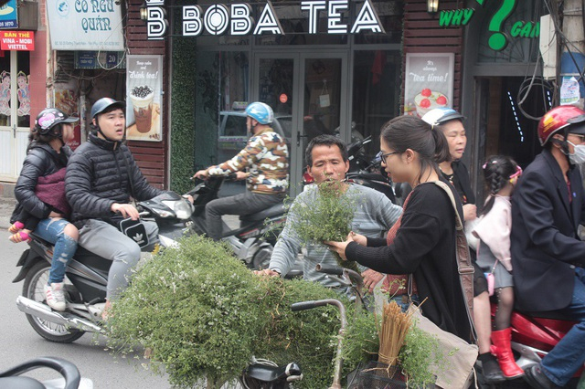 Tùy vào số lượng người sử dụng để chuẩn bị cây mùi già và nguyên liệu nấu nước tắm.  Đầu tiên các bạn cần chuẩn bị các vật liệu như: Muối, gừng, cây mùi già. Sau đó rửa thật sạch lá mùi và gừng, đập dập gừng. Tiếp đó, khi cây mùi già được rửa sạch rồi thì các bạn cuộn bó lá mùi lại sao cho vừa trong lòng nồi, rồi cho gừng và cuối cùng là đổ nước gần đầy nồi, bắc lên bếp đun sôi.  Sau khi nước sôi, chắt nước lá mùi đã đun ra chậu, thêm một chút muối, hòa loãng với nước ấm. Ngoài ra, có thể tận dụng lá mùi đã đun để làm thơm nhà bằng cách đổ vào nồi một chút nước, đun lửa nhỏ (đủ để nước bốc hơi).