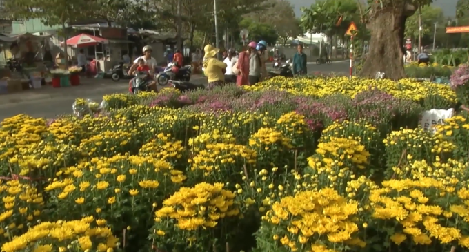 D9221F23-9689-4F59-A684-B4DE748630D9