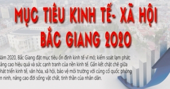 Infographic: Mục tiêu kinh tế - xã hội Bắc Giang 2020