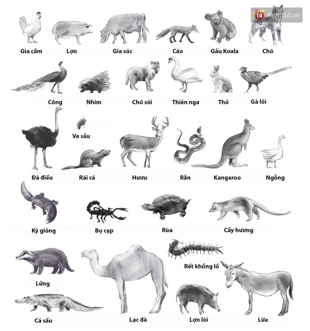 untitled-3-1579798250552144864265-15797982873181818112591