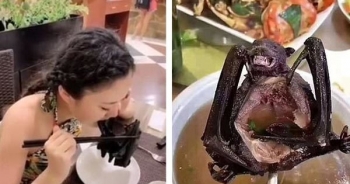 Món đặc sản nghi có thể truyền virus corona gây dịch viêm phổi chết người