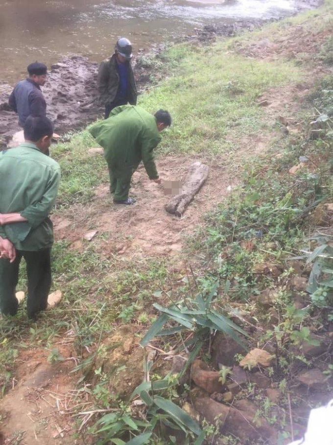 52fa6ffbacbb45e51caa