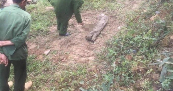 Lào Cai: Bàng hoàng phát hiện thi thể cô gái bị chôn bên bờ suối