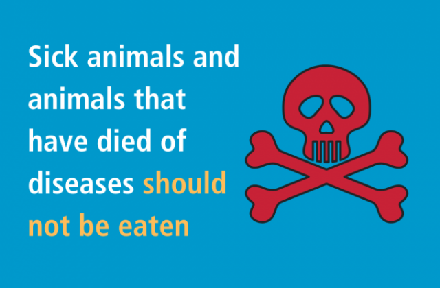 Không muốn nhiễm virus corona bạn cần nắm rõ các khuyến nghị này của Tổ chức Y tế Thế giới (WHO)