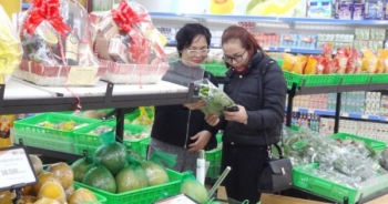 HAPRO tưng bừng khí thế kinh doanh đầu xuân Canh Tý 2020