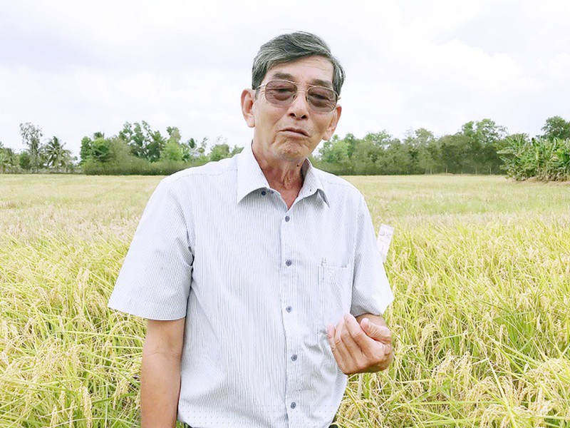 Kỹ sư Hồ Quang Cua, người l&agrave;m rạng danh hạt gạo Việt. 